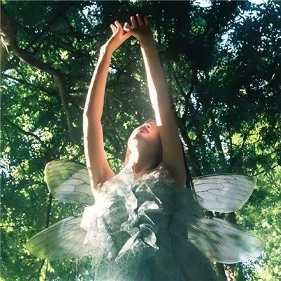 明星大侦探第七季